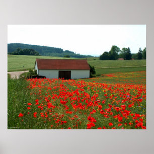 Fält Poster