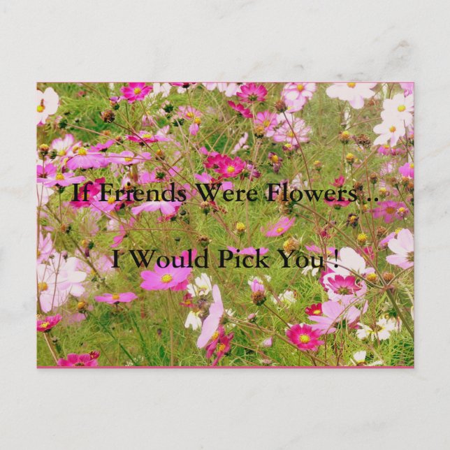 Fält Rosa Flowers Vänskap Vykort (Framsida)