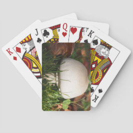 Fält svamp i en skog casinokort