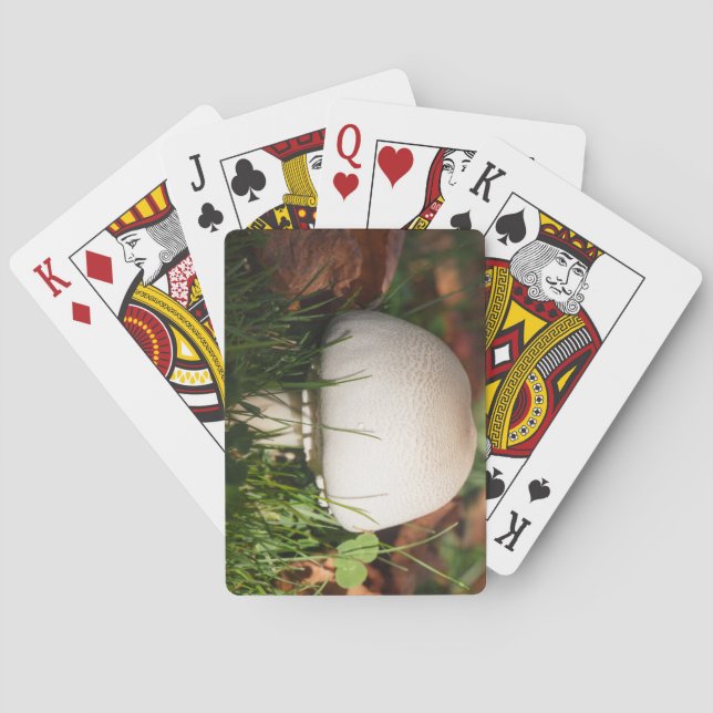Fält svamp i en skog casinokort (Baksidan)