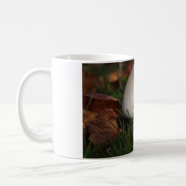 Fält svamp i en skog kaffemugg (Vänster)