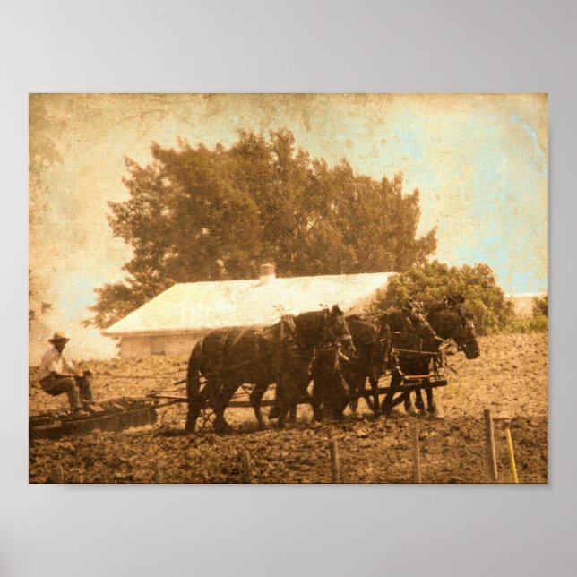 Fält Work Poster (Framsidan)