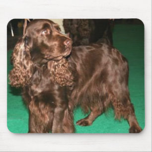 FältSpaniel Mousepad Musmatta