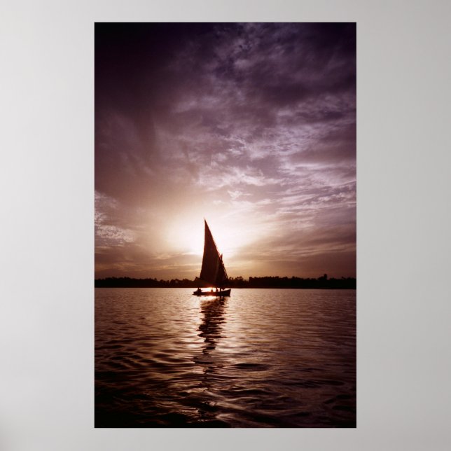 Faluka i Sunlight Poster (Framsidan)