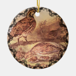 Familj av Quail Ornament