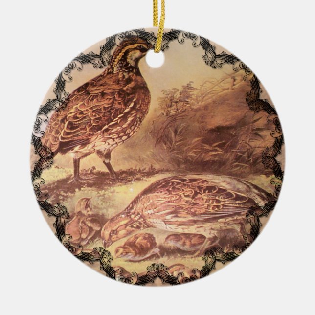 Familj av Quail Ornament (Framsidan)