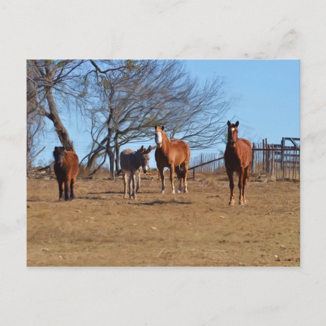 Familj och vänner vykort (Framsida)