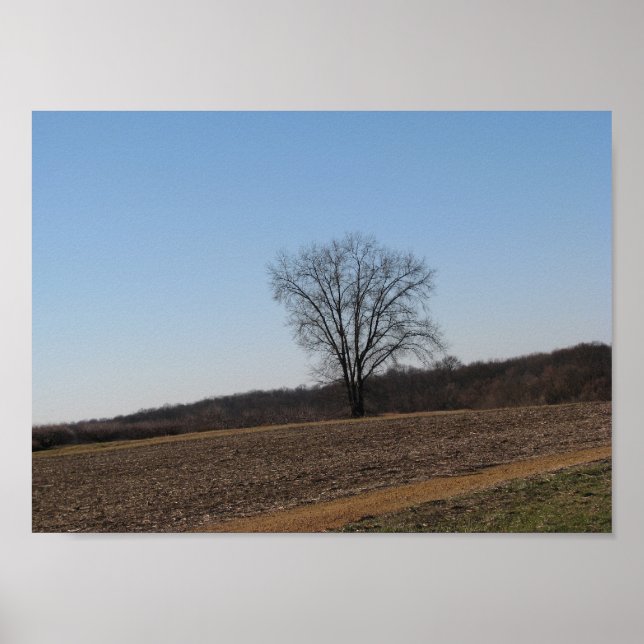 Familj Träd Poster (Framsidan)