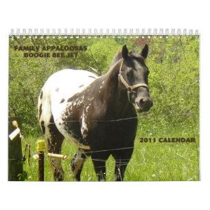 FamiljAppaloosas 2011 Kalender