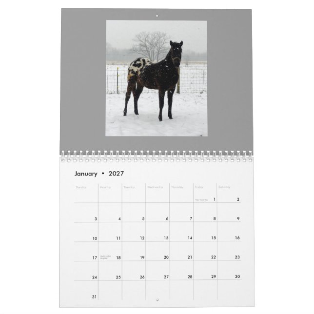 FamiljAppaloosas 2011 Kalender (Jan 2027)