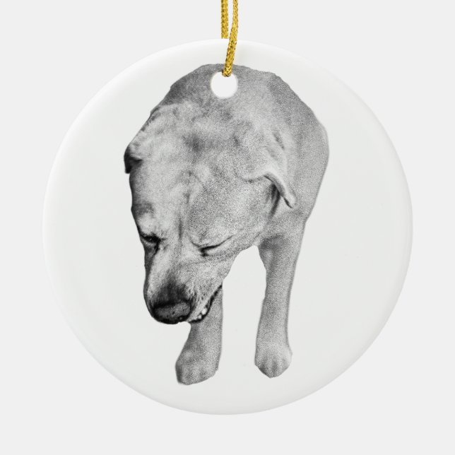 Familjearvskuggning, Labrador-souvenir Julgransprydnad Keramik (Framsidan)