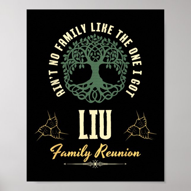Familjeåterförening 2025 - matchande design - Liu Poster (Framsidan)