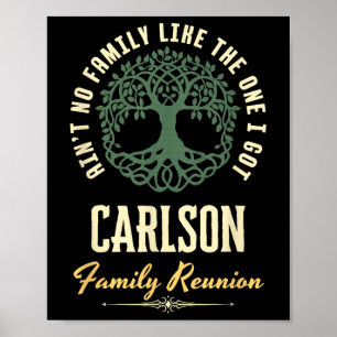 Familjeåterförening 2025 - Matchningsdesign - Carl Poster