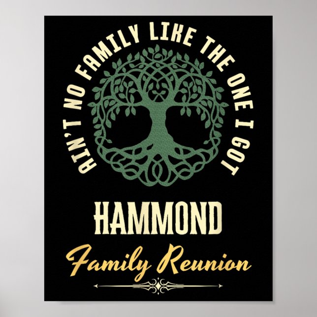 Familjeåterförening 2025 - matchningsdesign - Hamm Poster (Framsidan)