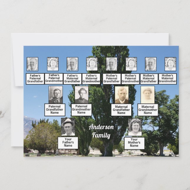 Familjeåterförening 3 Generation Foto av rad Träd Inbjudningar (Framsida)