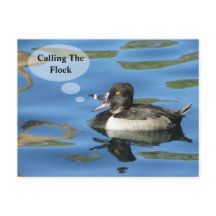 Familjeåterförening som anropar Flock Anka-meddela