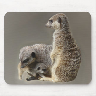 Familjeband Musmatta