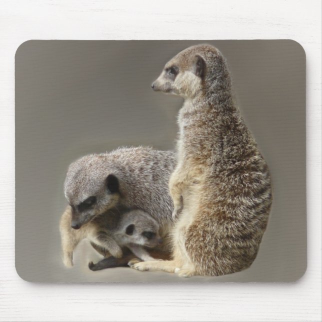 Familjeband Musmatta (Framsidan)