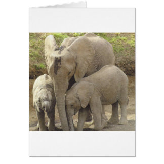 Familjeenhet.jpg Hälsningskort