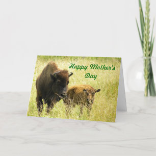 "Familjekort" Mors dag Kort