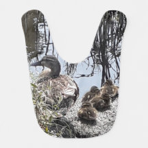 Familjen anka vid kanalen.