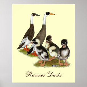Familjen Emery Penciled Springer Anka Poster