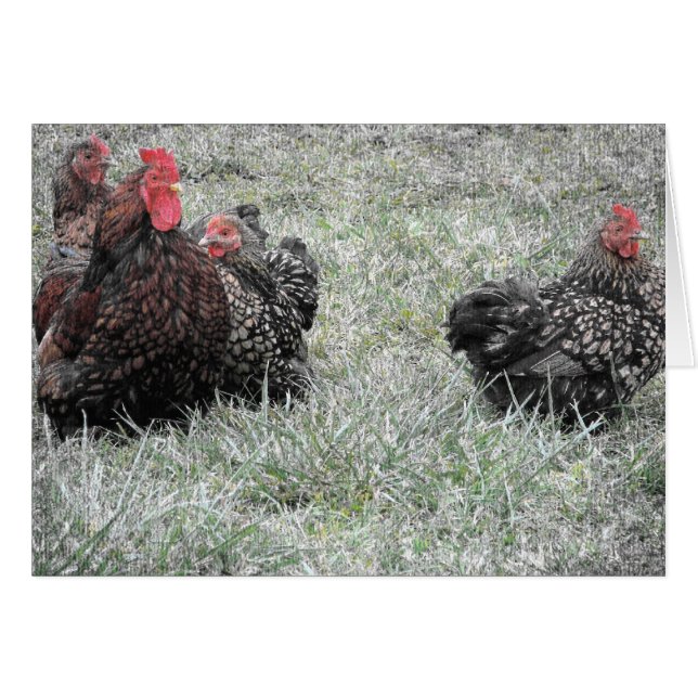 Familjen Finare Hälsningskort (Framsidan Horizontal)