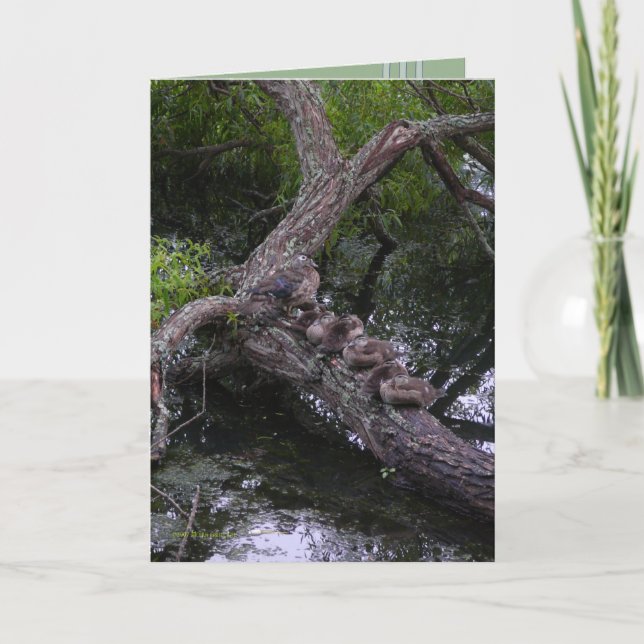 Familjen på vilar kort (Framsida)