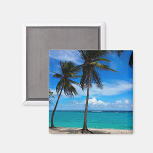 Familjen Resa Beach Vacation Guadeloupe Västindien Magnet