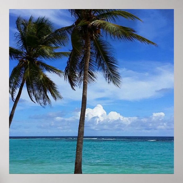 Familjen Resa Beach Vacation Guadeloupe Västindien Poster (Framsidan)