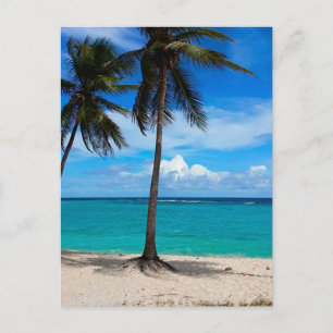 Familjen Resa Beach Vacation Guadeloupe Västindien Vykort