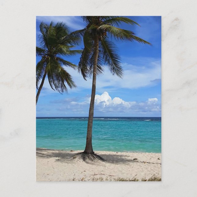 Familjen Resa Beach Vacation Guadeloupe Västindien Vykort (Framsida)