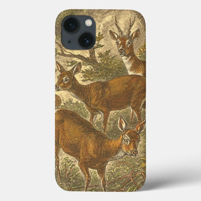 Familjen Roe - Deers in a Forest (Baksida)