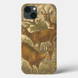 Familjen Roe - Deers in a Forest