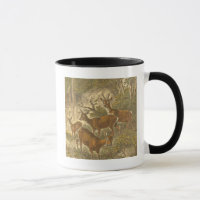 Familjen Roe - Deers in a Forest
