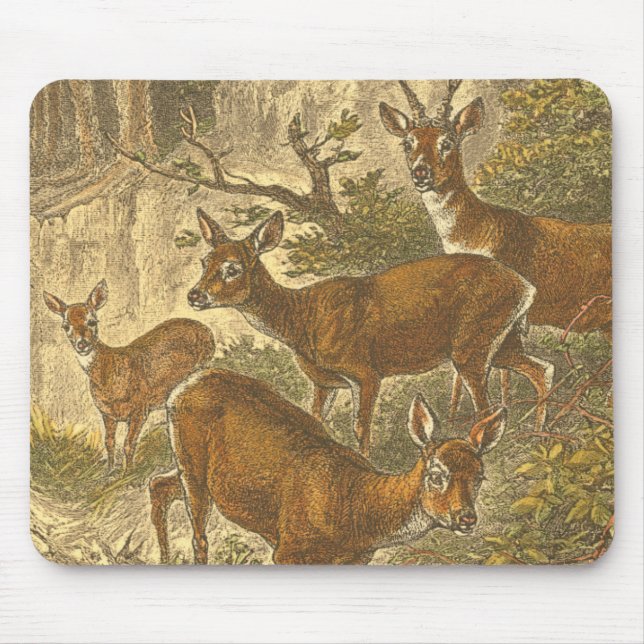 Familjen Roe - Deers in a Forest Musmatta (Framsidan)