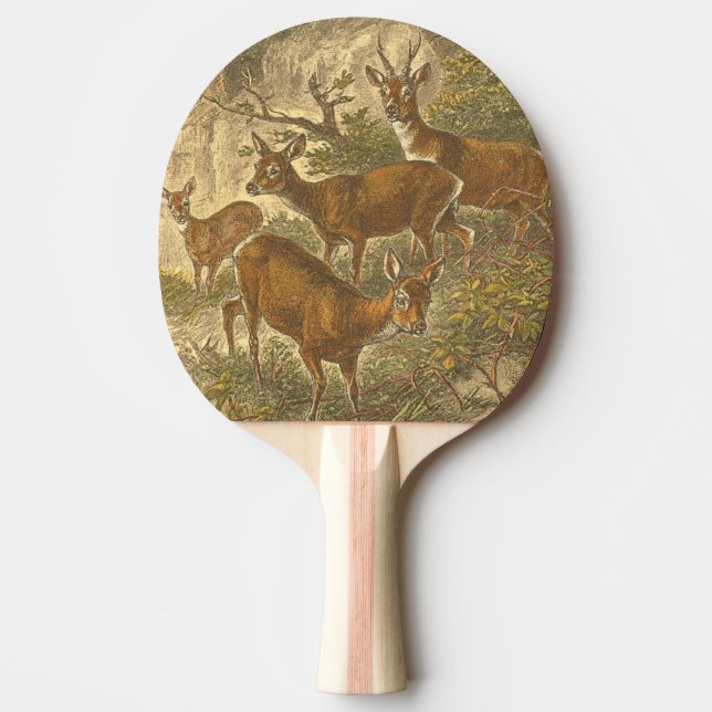 Familjen Roe - Deers in a Forest Pingisracket (Framsidan)