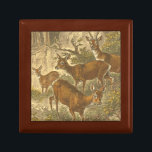 Familjen Roe - Deers in a Forest Smyckeskrin<br><div class="desc">Den här målningen av konstnären Friedrich Specht representerar en familj med fyra roédeers i en skog. Den gamla stil-målningen visar en vacker neutralt och äkta färg av familjen Rom-hjort. Anpassa Zazzle-favoritprodukten med den här vackra bilden.</div>