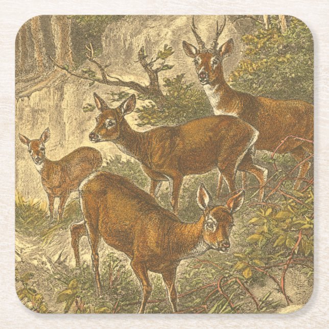 Familjen Roe - Deers in a Forest Underlägg Papper Kvadrat (Framsidan)