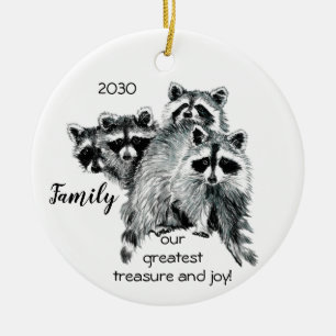 Familjens underbarare skatte-Roligt Raccoon-offert Julgransprydnad Keramik