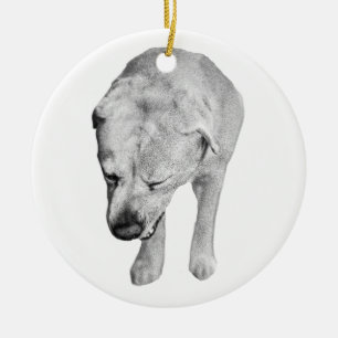 Familjeöverlämnad skuggning, Labrador-souvenir Julgransprydnad Keramik