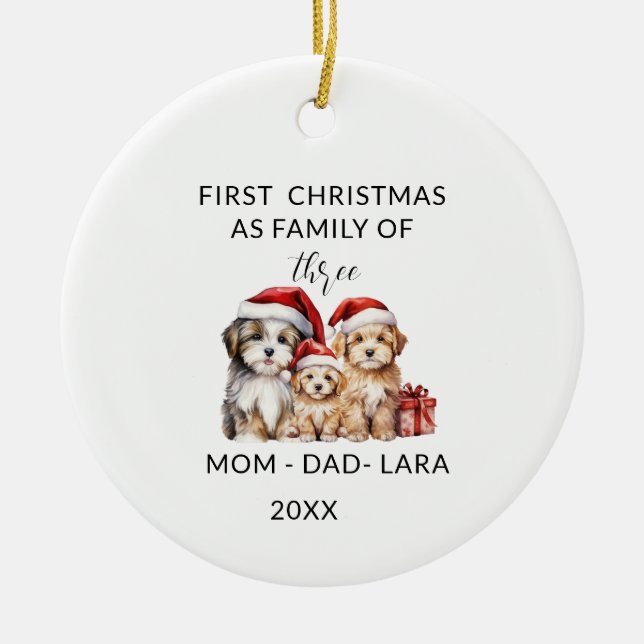Familjeprydnad som Julgran dekoration (Framsidan)