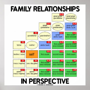 Familjerelationer i perspektiv (återförening) poster