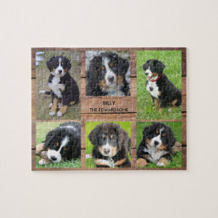 Familjesamlingar 6 foton hund och namn i familjen pussel