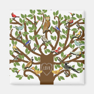 Familjesammankomstfest Magnet