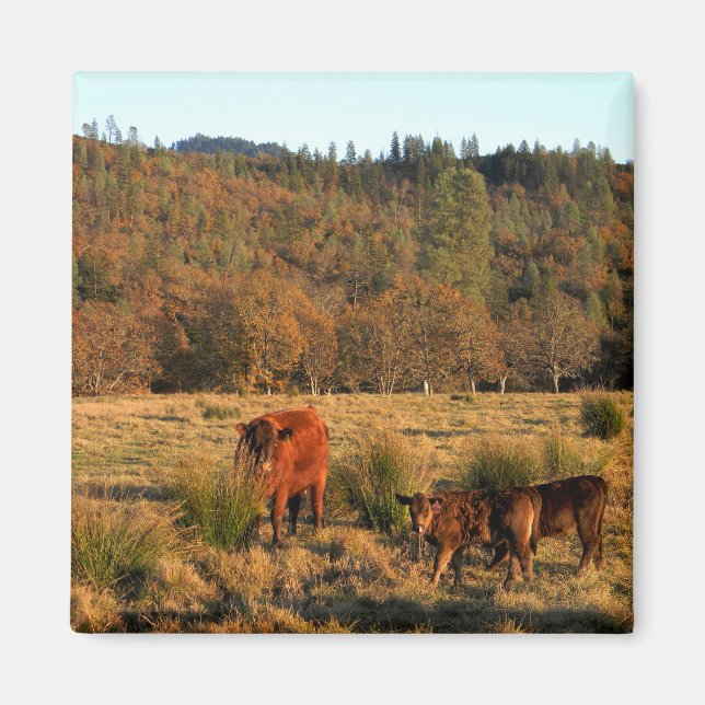 Familjetid..... Magnet (Framsidan)