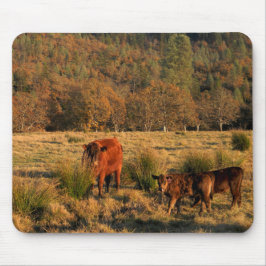 Familjetid..... Musmatta