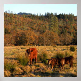 Familjetid...... Poster