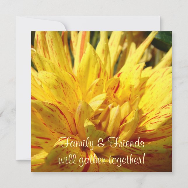 Familjevänner samlas! Inbjudningar Dahlia (Framsida)