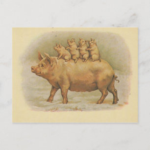 Famille de cochon vykort
